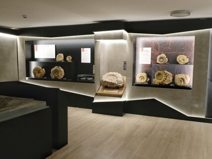 Wissenschaftliches und Archäologisches Museum, Rovereto